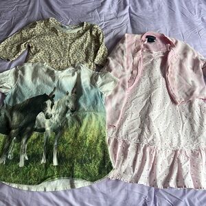 1 Cynthia Crowley dress with sweater, 2 gap shirts, size 10